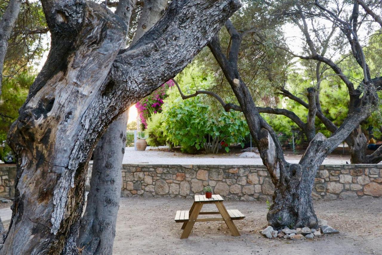 Pyrgos Ralli Estate Guesthouse Aegina Екстер'єр фото