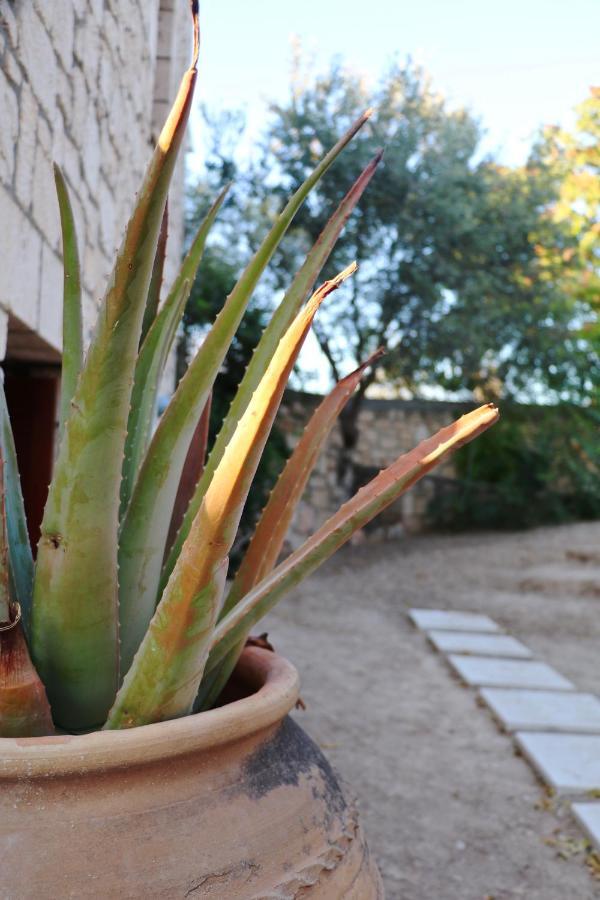 Pyrgos Ralli Estate Guesthouse Aegina Екстер'єр фото